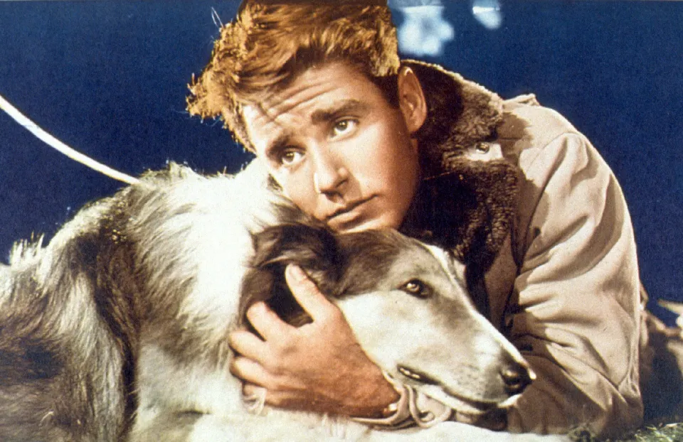 The Legacy of Lassie