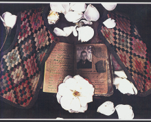Photograph by Dina Dar