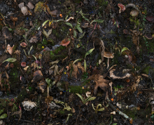 Woven 27 by Tanya Marcuse