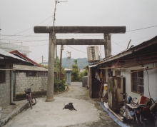 A Japanese shrine in an urban setting 