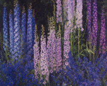Edward Steichen (American, b. Luxembourg, 1879–1973), Delphiniums, 1940. Dye imbibition print. George Eastman Museum, bequest of Edward Steichen.© 2025 Estate of Edward Steichen / Licensed by ARS, New York