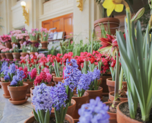 Photo of Dutch Connection, flowers on view throughout historic mansion