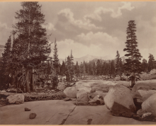 Eadweard J. Muybridge (English, 1830–1904), Bradley & Rulofson, Ancient Glacier Channel. Lake Tenaya. Sierra Nevada Mountains., 1872. Albumen silver print. George Eastman Museum, gift of Harvard University, 1961. 