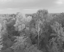 Still from Last Whispers