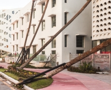 Four palm trees falling over into four-story building on a pink sidewalk