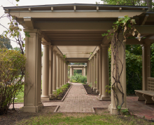Dawn's Rock Garden