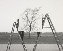 Photograph by JoAnn Verburg depicting two people on ladders holding up a photograph of a tree in front of a tree 
