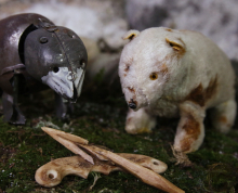 Lindsay McIntyre still of bears