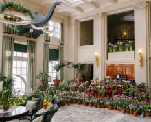 Photo of Dutch Connection, flowers on view throughout historic mansion