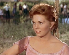 still from Picnic
