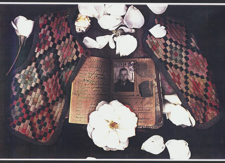 Photograph by Dina Dar