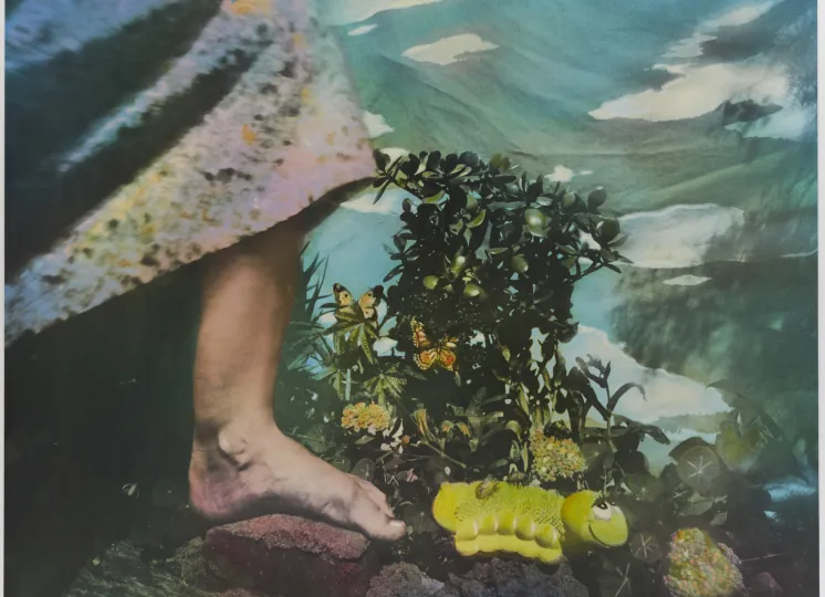 Photographic work by Bea Nettles