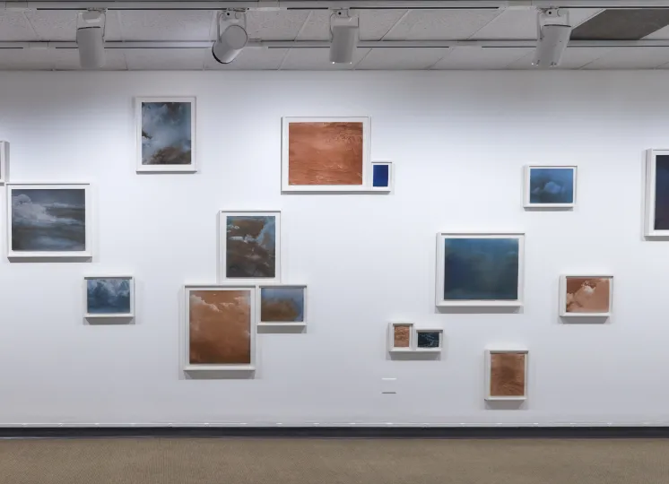 Works by Sharon Harper, gallery view