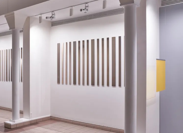 Install view of Liz Deschenes work