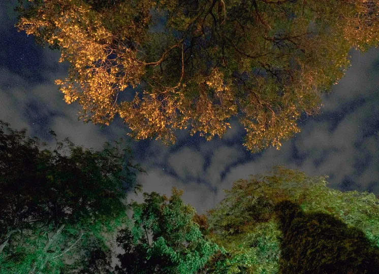 Still image from Curve the Night Sky. 