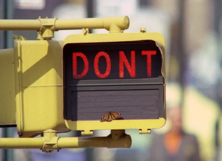 Still from Don't (Robin Lehman, 1974). George Eastman Museum. Gift of Robin Lehman.