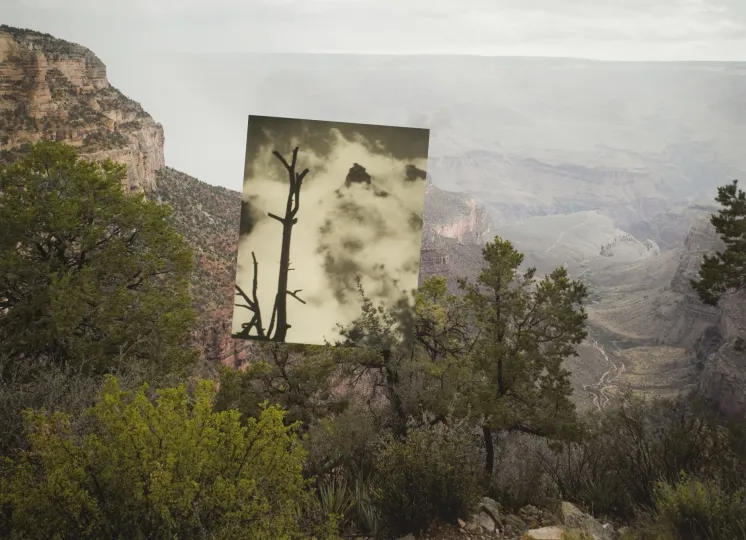 A landscape with trees and mountains, featuring a large square photo of a silhouetted tree placed in the center, blending with the natural scenery behind it. Inspired by Mark Klett (American, b. 1952) and Byron Wolfe (American), from *Reconstructing the View*, this inkjet print—gift of the artists—seamlessly merges photographic elements with the picturesque environment.