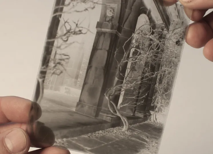Gelatin emulsion dry plate