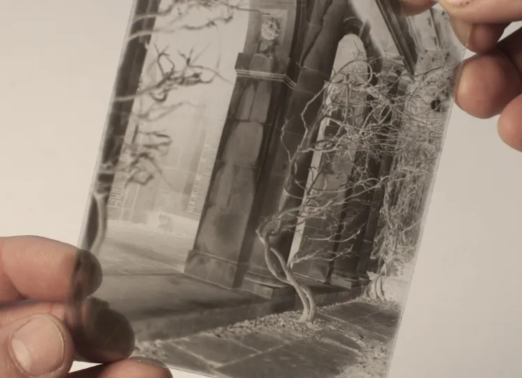 Gelatin emulsion dry plate