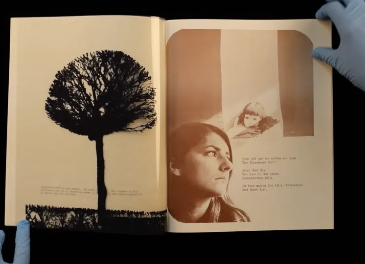 Book