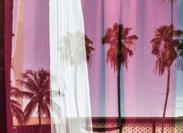 Reflection of palm trees in glass with curtains on other side of glass