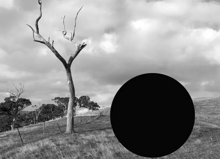 Photograph by James Tylor