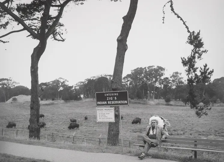Golden Gate Park, Buffalo Paddock, 1997, by Zig Jackson