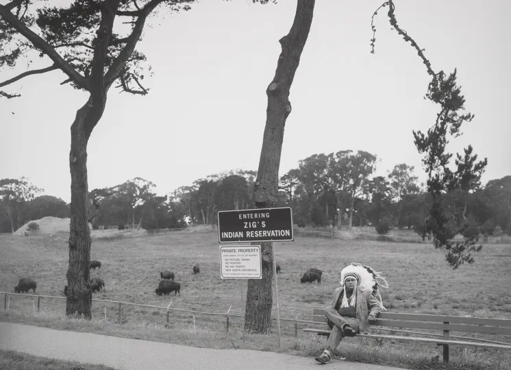 Golden Gate Park, Buffalo Paddock, 1997, by Zig Jackson