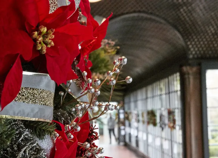 Decorative wreaths