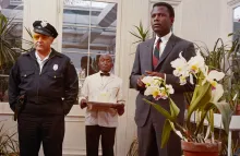 Still from In the Heat of the Night (1967)