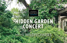 Photograph of the Hidden Garden