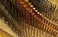 Rows of pipe organ pipes