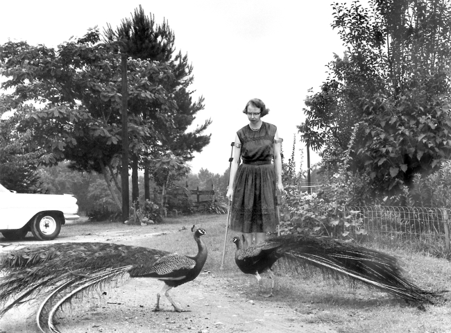 still from Flannery