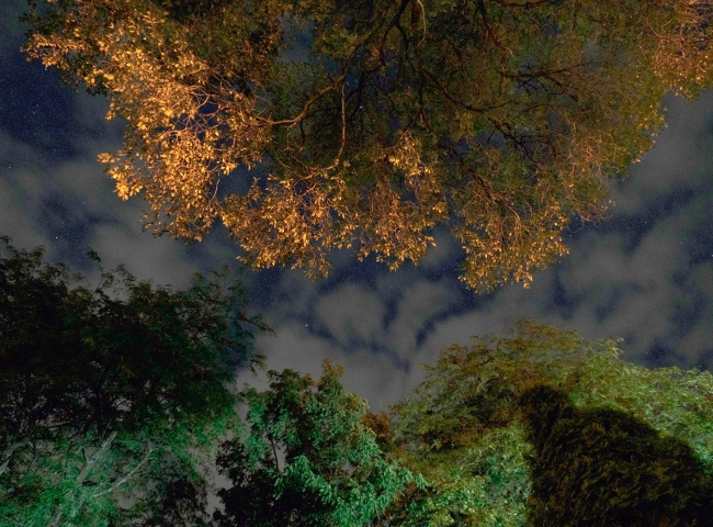 Still image from Curve the Night Sky.