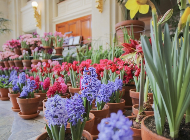 Photo of Dutch Connection, flowers on view throughout historic mansion