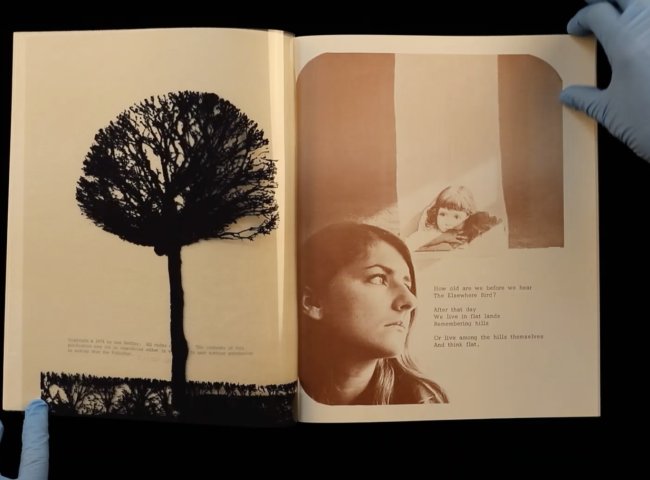 Book