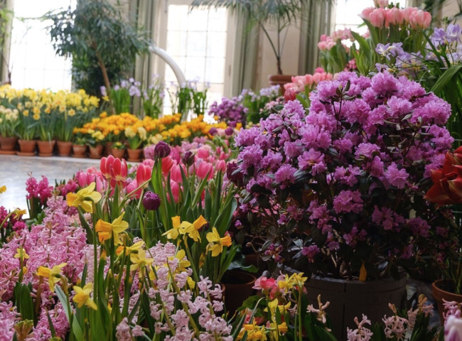 Flowers in the historic mansion for Dutch Connection