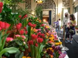A Dutch Connection flower display