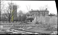 Historic Image showing beech tree with tree highlighted