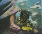 Photographic work by Bea Nettles