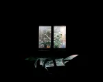 Photograph by Adam Ranz