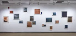 Works by Sharon Harper, gallery view