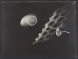 László Moholy-Nagy (American, born Hungary, 1895–1946), Photogram, 1925. Gelatin silver print. George Eastman Museum, Purchase with funds from Eastman Kodak Company.