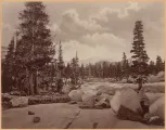 Eadweard J. Muybridge (English, 1830–1904), Bradley & Rulofson, Ancient Glacier Channel. Lake Tenaya. Sierra Nevada Mountains., 1872. Albumen silver print. George Eastman Museum, gift of Harvard University, 1961. 