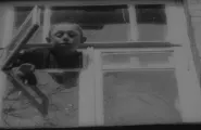 still from In Spring