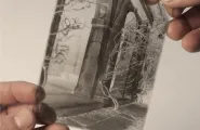 Gelatin emulsion dry plate