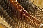 Organ pipes