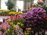 Flowers in the historic mansion for Dutch Connection