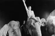 still from Tarzan and His Mate (1934)