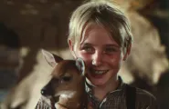 still from The Yearling